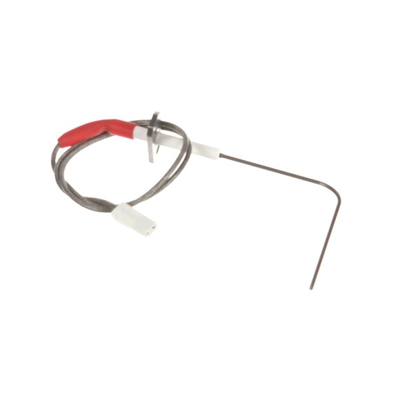 Ionisation Electode 1221 2021 Bj11